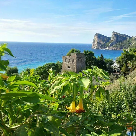 キャンプ場 Villaggio Nettuno *