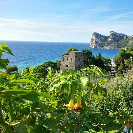 Campsite Villaggio Nettuno *